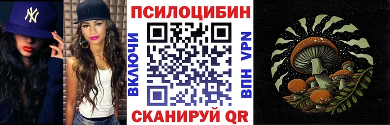 Псилоцибиновые грибы Cubensis  Губкин 